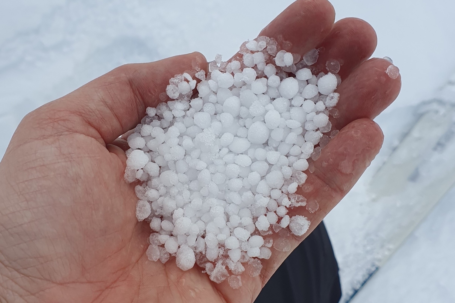 Onder de bovenste korstlaag ligt korrelige sneeuw dat meteen begint te rollen zodra het de kans krijgt